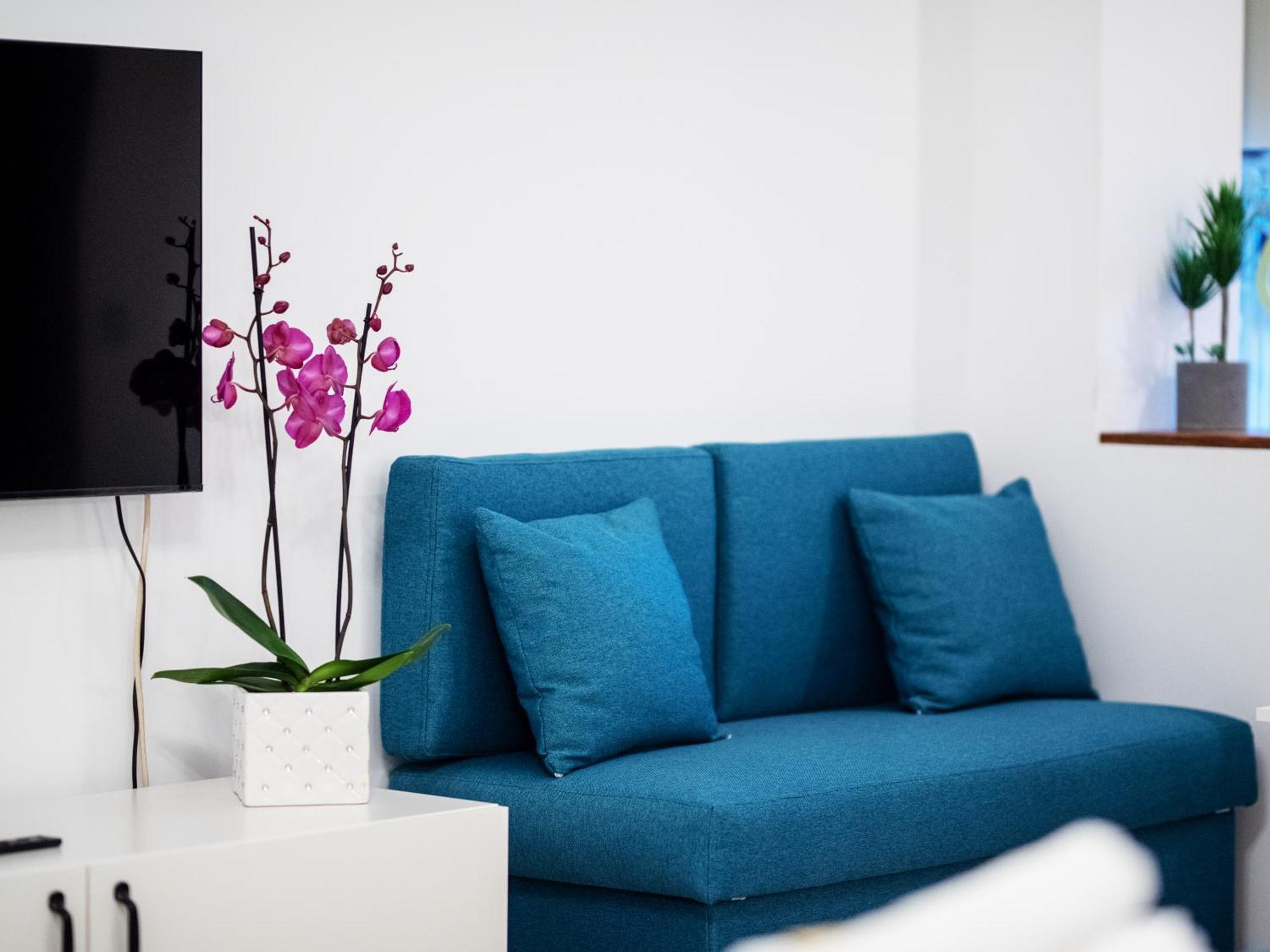 Zara Studio Braşov Buitenkant foto